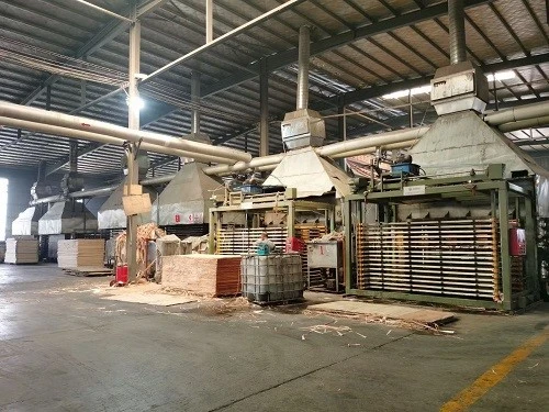 5be90bd019d01480d0633650fb9e - 5be90bd019d01480d0633650fb9e -